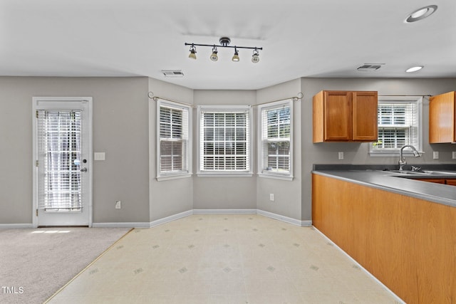 2037 Summer Shire Way, Raleigh, NC 27604 - kitchen with brown cabinets, healthy amount of natural light, rail lighting, and dark countertops