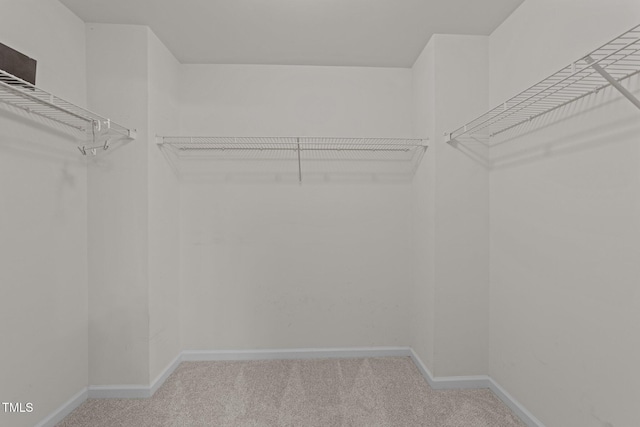 2037 Summer Shire Way, Raleigh, NC 27604 - spacious closet with carpet floors