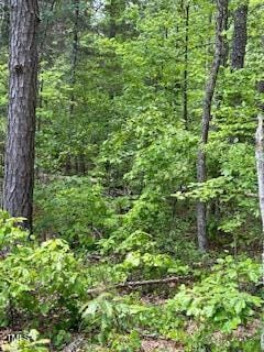 A679 Bowmantown Rd, Roxboro, NC 27574