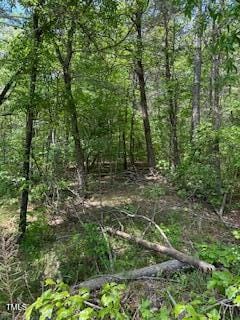 A679 Bowmantown Rd, Roxboro, NC 27574