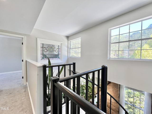 1500 River Mill Dr Unit 310, Wake Forest, NC 27587 - hallway with an upstairs landing and light colored carpet