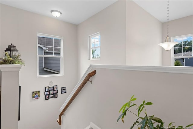 244 Great Enos Path, Hillsborough, NC 27278 - view of staircase