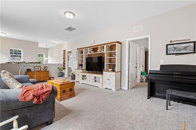 244 Great Enos Path, Hillsborough, NC 27278 - living room with carpet