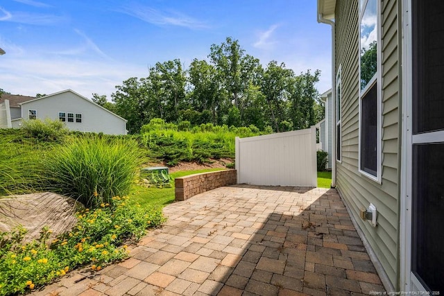 244 Great Enos Path, Hillsborough, NC 27278 - photo 47