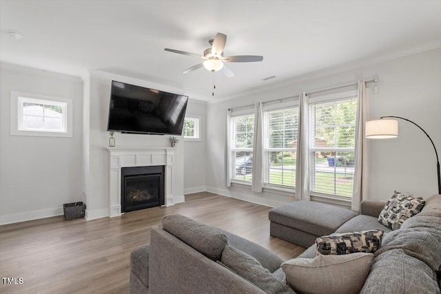 1304 Castlebay Rd, Durham, NC 27703 - living room with a ceiling fan, ornamental molding, a glass covered fireplace, and wood finished floors