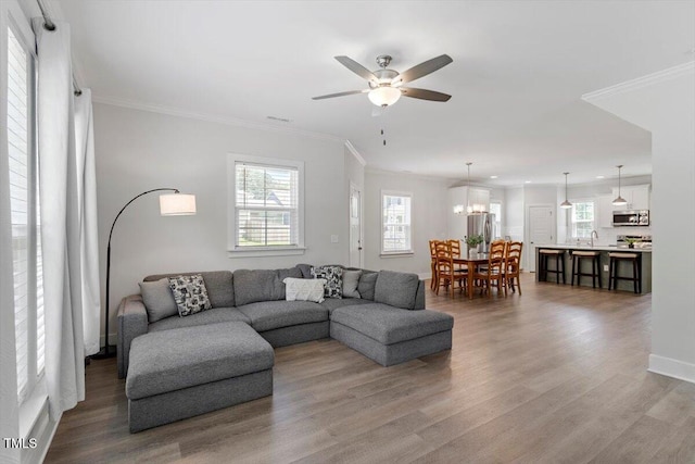 1304 Castlebay Rd, Durham, NC 27703 - living area featuring plenty of natural light, wood finished floors, ceiling fan, and crown molding