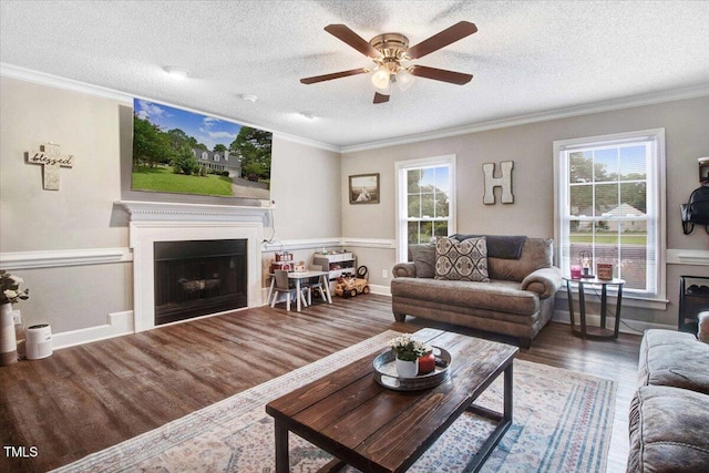 204 Paul Pl, Goldsboro, NC 27534 - living area with a fireplace, wood finished floors, ceiling fan, a textured ceiling, and crown molding