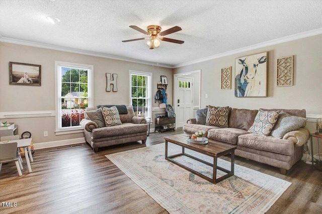 204 Paul Pl, Goldsboro, NC 27534 - living area featuring wood finished floors, a textured ceiling, ceiling fan, and crown molding