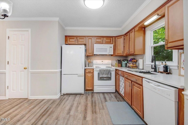 204 Paul Pl, Goldsboro, NC 27534 - kitchen featuring white appliances, light wood-style flooring, light countertops, a textured ceiling, and crown molding