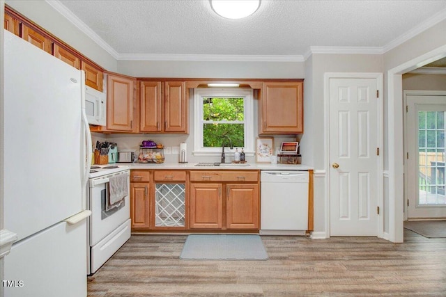 204 Paul Pl, Goldsboro, NC 27534 - kitchen with white appliances, light wood-type flooring, light countertops, healthy amount of natural light, and ornamental molding