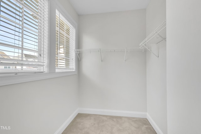 413 Westfalen Dr, Cary, NC 27519 - walk in closet with light carpet