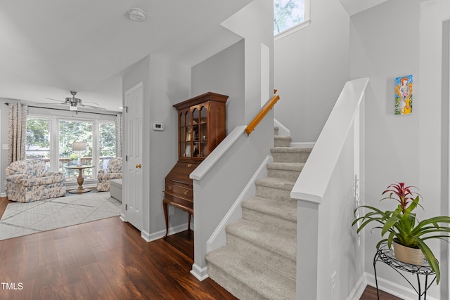 1815 Crystal Downs Ln, Raleigh, NC 27604 - staircase with wood finished floors, healthy amount of natural light, and a ceiling fan
