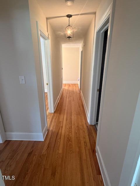 403 Rodwell St, Warrenton, NC 27589 - hallway with light wood-style floors and baseboards