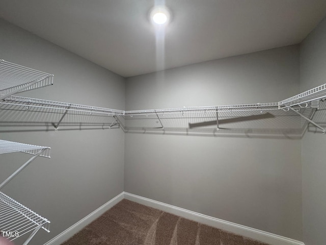 238 Alamosa Pl, Cary, NC 27519 - photo 22
