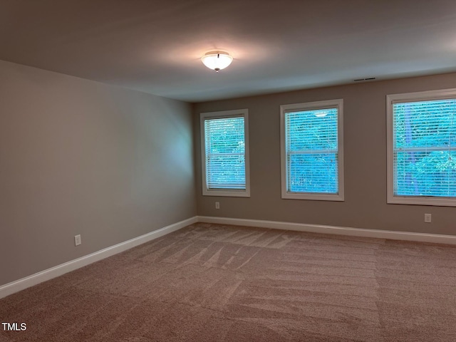 238 Alamosa Pl, Cary, NC 27519 - photo 35
