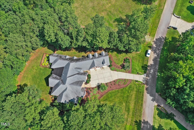 5204 Winter Holly Ct, Raleigh, NC 27606 - view of property location featuring a heavily wooded area