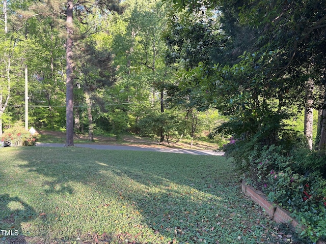 2705 Royster St, Raleigh, NC 27608 - view of green lawn with a forest view