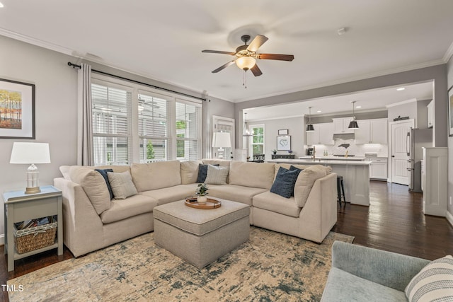 508 Morning Oaks Dr, Holly Springs, NC 27540 - living room featuring dark wood-style flooring, a ceiling fan, and ornamental molding
