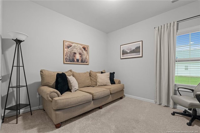 115 Doubletree Ln, Autryville, NC 28318 - living room with carpet floors