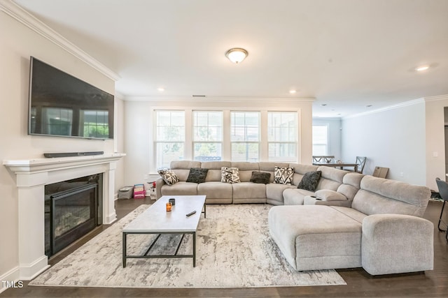 1051 Jura Ridge Dr, Fuquay Varina, NC 27526 - living area with wood finished floors, a glass covered fireplace, ornamental molding, and recessed lighting