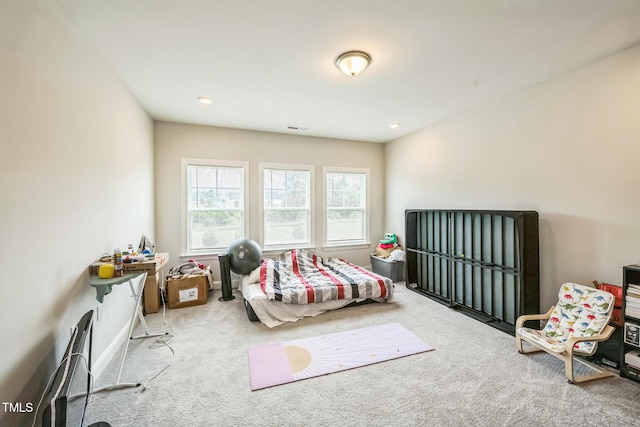 1051 Jura Ridge Dr, Fuquay Varina, NC 27526 - view of carpeted bedroom