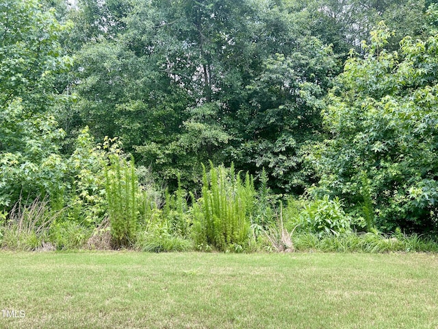 857 Stable Fern Dr, Fuquay Varina, NC 27526 - view of grassy yard