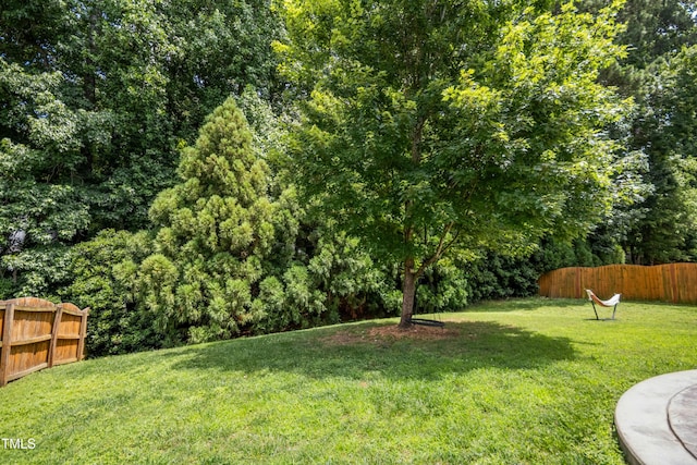 304 Forbes Rd, Wake Forest, NC 27587 - view of yard