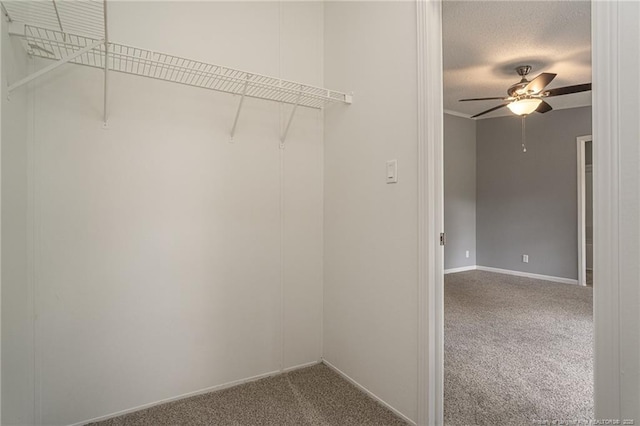 2990 Aberdeen Rd, Raeford, NC 28376 - walk in closet with carpet and ceiling fan