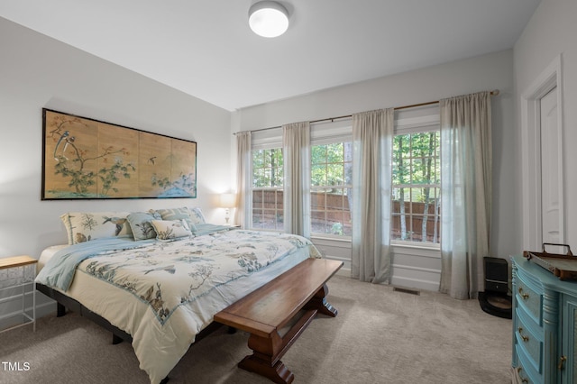 100 Redfoot Run Rd, Chapel Hill, NC 27516 - bedroom with carpet