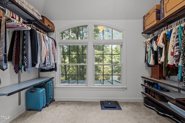 100 Redfoot Run Rd, Chapel Hill, NC 27516 - spacious closet featuring carpet