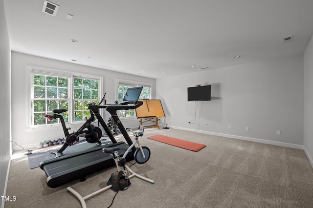 100 Redfoot Run Rd, Chapel Hill, NC 27516 - exercise area with carpet and baseboards