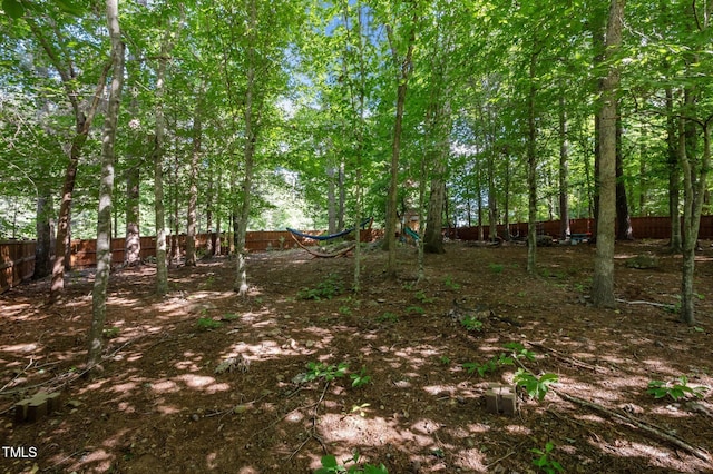 100 Redfoot Run Rd, Chapel Hill, NC 27516 - view of yard
