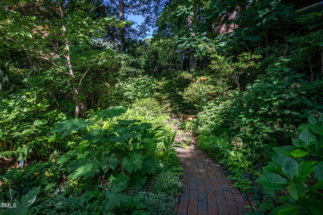 820 Runnymede Rd, Raleigh, NC 27607 - view of nature