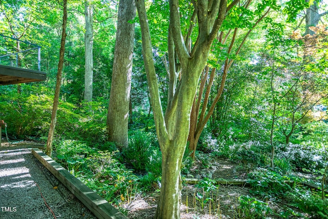 820 Runnymede Rd, Raleigh, NC 27607 - view of yard with a view of trees