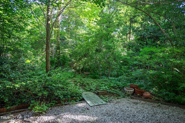 820 Runnymede Rd, Raleigh, NC 27607 - view of yard with a forest view