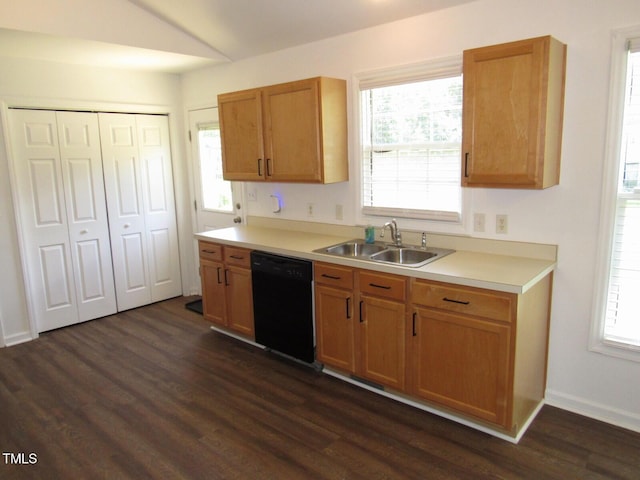2662 Walas Ct, Creedmoor, NC 27522 - kitchen with black dishwasher, dark wood-style flooring, light countertops, plenty of natural light, and vaulted ceiling