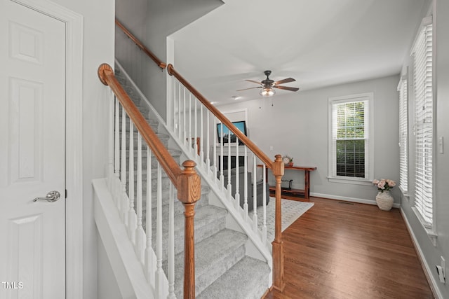 2925 Dargan Hills Dr, Wake Forest, NC 27587 - staircase featuring ceiling fan and wood finished floors