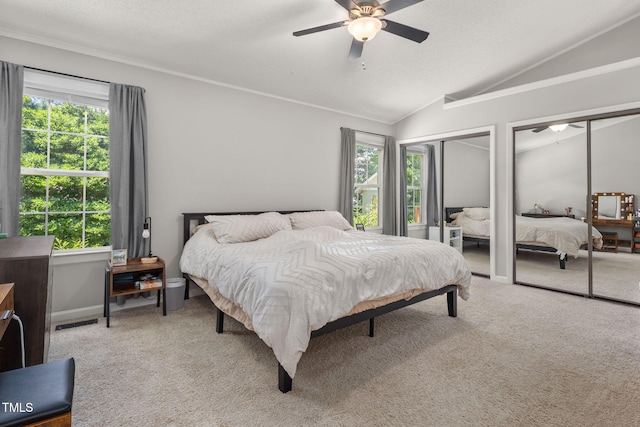 6205 Houndsman Ct, Raleigh, NC 27616 - bedroom with two closets, multiple windows, carpet, and lofted ceiling