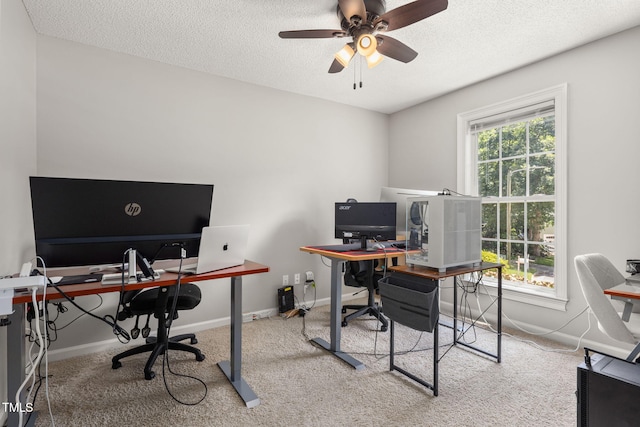 6205 Houndsman Ct, Raleigh, NC 27616 - carpeted home office featuring a ceiling fan and a textured ceiling