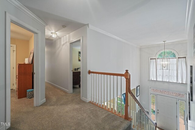 2401 Worthing Ct, Wake Forest, NC 27587 - hallway with a chandelier, carpet, an upstairs landing, and ornamental molding