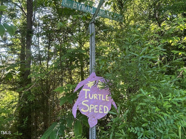 94 Bynum Church Rd, Pittsboro, NC 27312 - photo 17