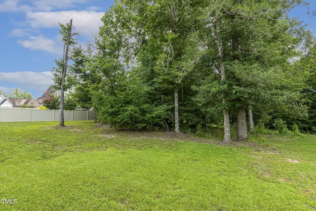 110 Thunder Ridge Dr, Garner, NC 27529 - photo 44
