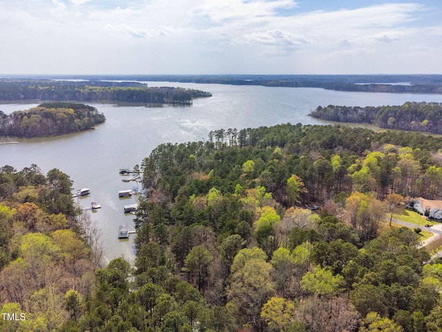 169 Skippers Lndg, Manson, NC 27553 - aerial view of a nearby body of water
