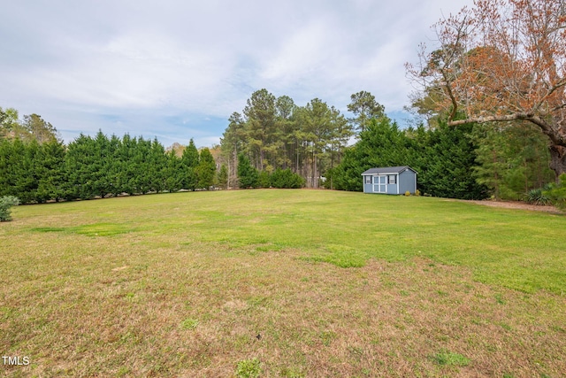 169 Skippers Lndg, Manson, NC 27553 - view of green lawn with a storage unit