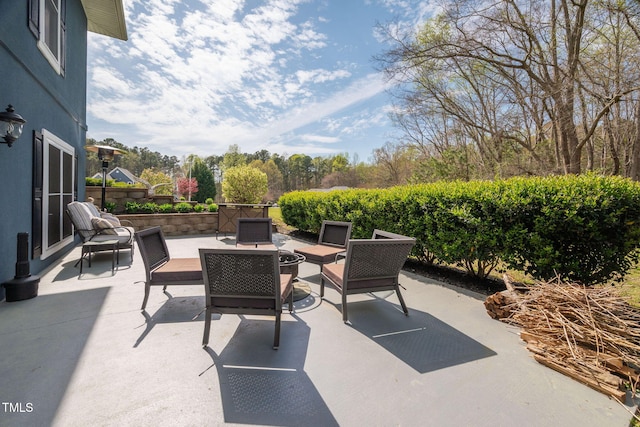 169 Skippers Lndg, Manson, NC 27553 - view of patio