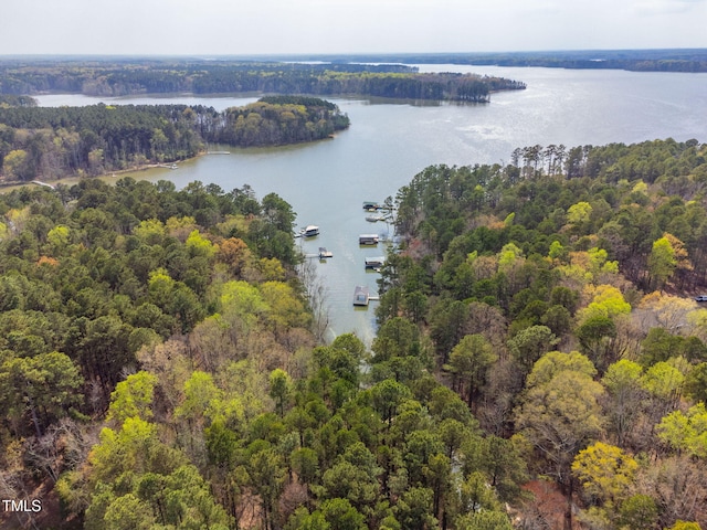 169 Skippers Lndg, Manson, NC 27553 - bird's eye view of a large body of water