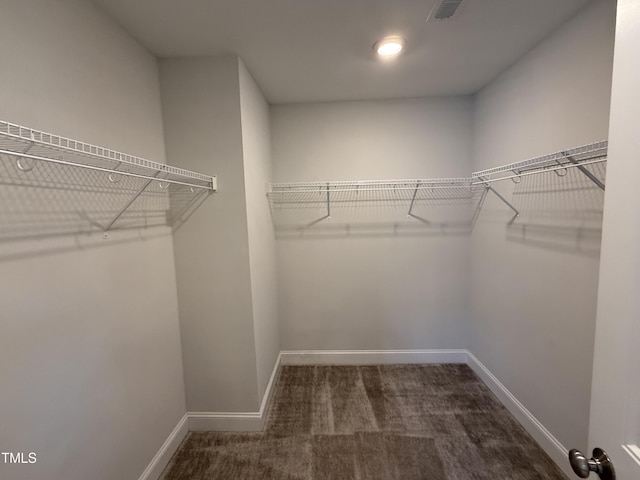 14 Gallop Rein Cir, Benson, NC 27504 - spacious closet featuring carpet