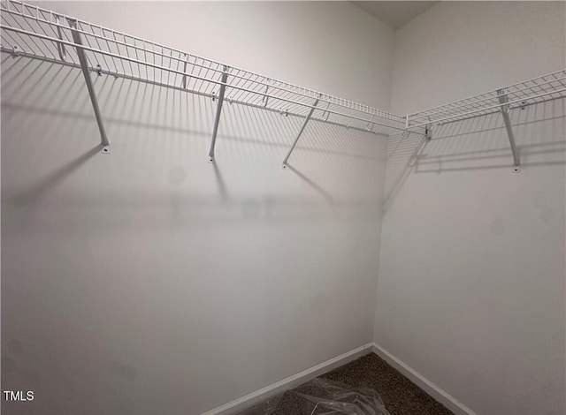 112 Dalton Dr, Lumber Bridge, NC 28357 - walk in closet with dark colored carpet