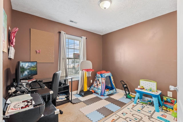 205 Driftwood Ln, Raeford, NC 28376 - office space with a textured ceiling and carpet flooring