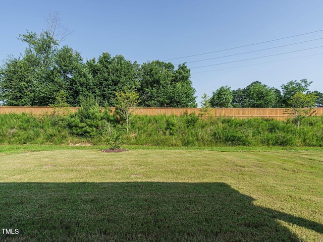 660 Still Willow Ln, Wendell, NC 27591 - photo 35